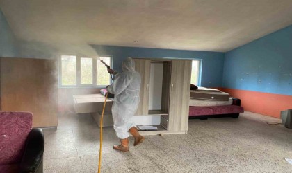 Kahverengi kokarca ile mücadele için her yer ilaçlanıyor