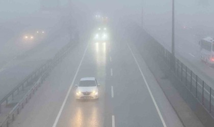 Kocaelide sis etkili oldu