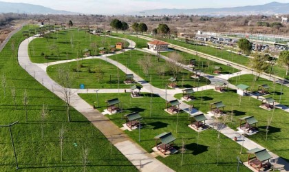 Kocaelide son 22 yılda dikilen ağaç sayısı 9 milyonu geçti