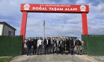 Komisyon üyeleri sokak hayvanları için Akhisarda toplandı