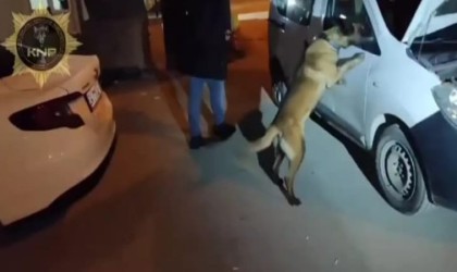 Kütahyada uyuşturucu operasyonu