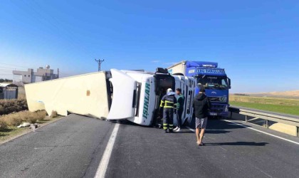 Mardinde kontrolden çıkan peynir yüklü tır devrildi