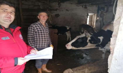 Menteşede hayvancılık işletmelerine denetim