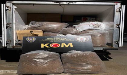 Muğlada 2 milyon 338 bin adet makaron ele geçirildi