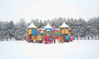 Muşta kar yağışı: 15 köy yolu ulaşıma kapandı