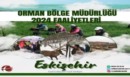 Orman Bölge Müdürlüğü orman yangınlarıyla mücadele çalışmalarını sürdürüyor