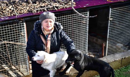 Ortahisar Belediyesinden hayvansever vatandaşlara mama desteği