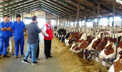 Sağlam: “Hayvancılık sektörüne bir yılda 57 milyon 289 bin TL destek”