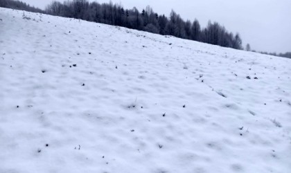 Sakaryanın yüksek kesimleri yeniden beyaz gelinliğini giydi