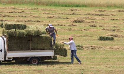 Saman fiyatları bir ay öncesine göre yüzde 10, eylüle göre yüzde 20 arttı