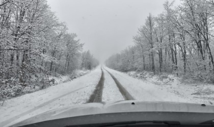 Sarıcakaya ormanlarında kar yağışı etkili oldu