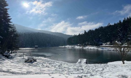 Sinopta 2024 Yılı Doğa Koruma çalışmaları