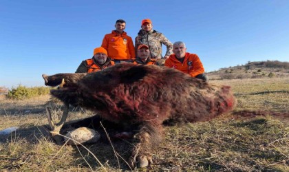 Tekirdağda avlanan 250 kiloluk yaban domuzu büyüklüğüyle şaşırttı