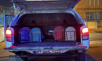 Tokatta horoz dövüştürenlere baskın