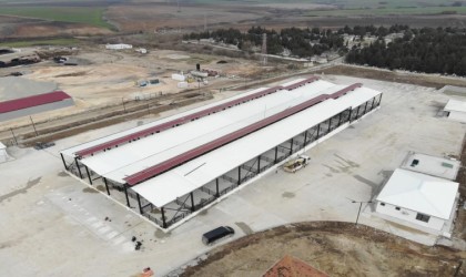 Trakyanın en büyük canlı hayvan pazarı açılış için gün sayıyor