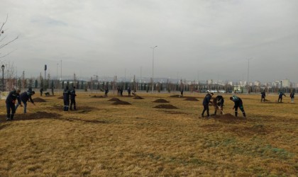 Türkiyenin en büyük millet bahçesinde bahar hazırlıkları başladı