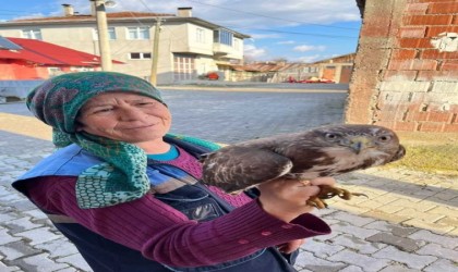 Uçamayan yaralı Şahine, köylüler sahip çıktı