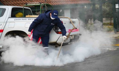 Ümraniye Belediyesinden kış aylarında da sivrisinek mücadelesi