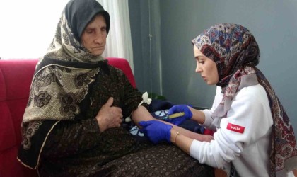 Vanda 25 bin hasta evde sağlık hizmetinden yararlandı