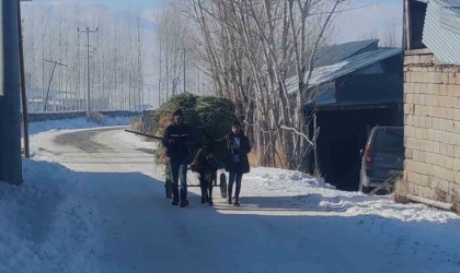 Vanda besicilerin kış mesaisi sürüyor