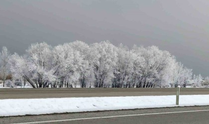 Vanda kırağı ve sis kartpostallık görüntüler oluşturdu