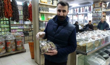 Vanda soğuk hava aktarlara ilgiyi artırdı