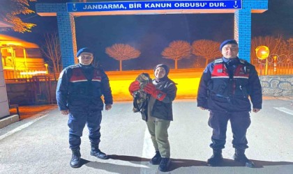 Vatandaşın bulduğu yaralı kızıl şahin jandarma ekiplerine teslim edildi