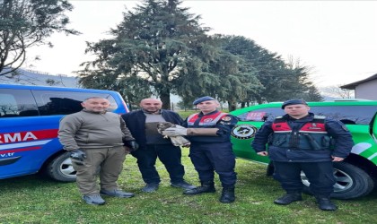 Yaralı Şahine HAYDİ şefkati