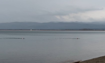 Yeni yılın ilk sabahında İznik Gölünde ilginç görüntü