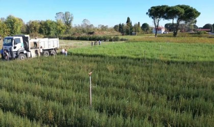 Yeşil Vatana yılda 10 milyon fidan