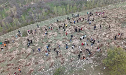 3 bin fidanı toprakla buluşturan büyükşehirden ‘Gesi Ağaçlandırma Şenliği’