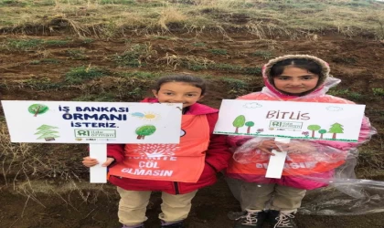 ‘81 İlde 81 Orman’ projesi Bitlis’te