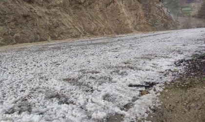 Adana’da dolu yağışı tarım arazilerini beyaza bürüdü