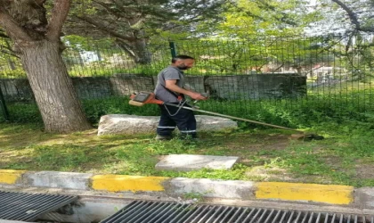 Afrodisias Antik Kenti’nde ilaçlama çalışması başlatıldı