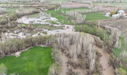 Ağrı’da dere taştı, tarım arazileri su altında kaldı