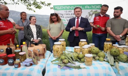 Akçapınar’da ‘Hibrit Enginar Hasadı Tarla Günü’ düzenlendi