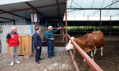 ‘Anneleri Aşılat, Buzağını Yaşat’ projesi eğitim toplantısı Ortaca’da gerçekleştirildi