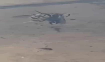 Arıyı ağına düşürüp etrafını sardı