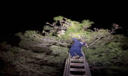 Ayağına misina dolanan leyleğe itfaiyeden hayat kurtaran müdahale