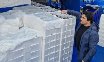 Balık sezonunda İnebolu’dan 2 milyon 965 bin ton balık karaya çıkartıldı