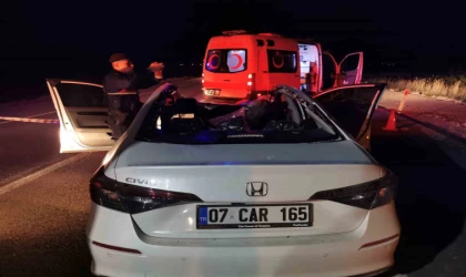 Başıboş ata çarpan otomobil takla atarak hurdaya döndü: 1 ölü 1 yaralı