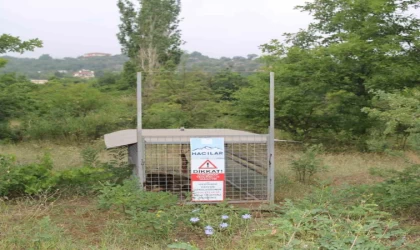 Başkan Özdoğan: ”Vatandaşımızın güvenliği her şeyden önce gelir”