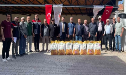 Beyşehir’de ayçiçeği ekimi ile tarlalar sarıya boyanacak