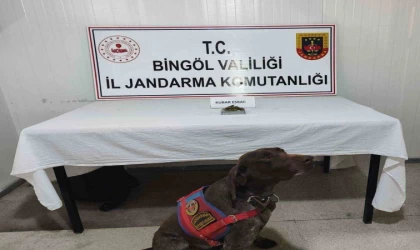 Bingöl’de uyuşturucu madde ve tüfek ele geçirildi