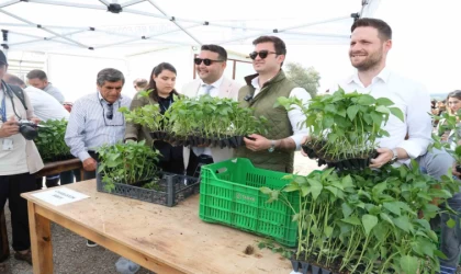 Bodrum Belediyesi tarafından ata tohumlardan üretilen 250 bin fide 1 saatte bitti