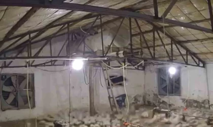 Bolu’da kümese girmeye çalışan ayı kamerada