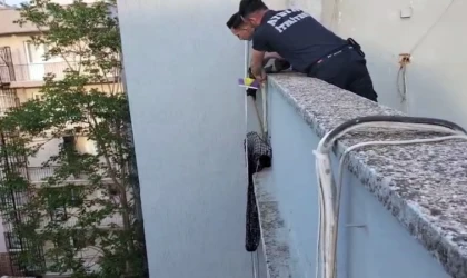 Çatı kenarında mahsur kalan yavru kediyi, itfaiye kurtardı
