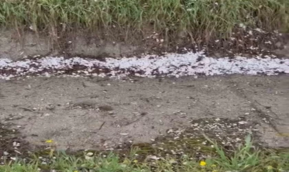 Çorum’da ceviz büyüklüğünde dolu yağdı