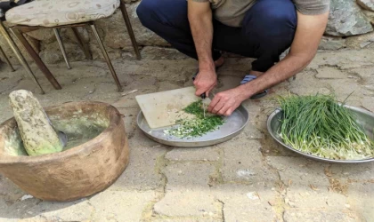 Dağdan toplanıyor, kilosu 10 bin TL’ye satılıyor