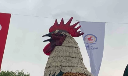 Denizli Horozu doludan nasibini aldı